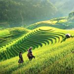 Ruộng bậc thang sapa