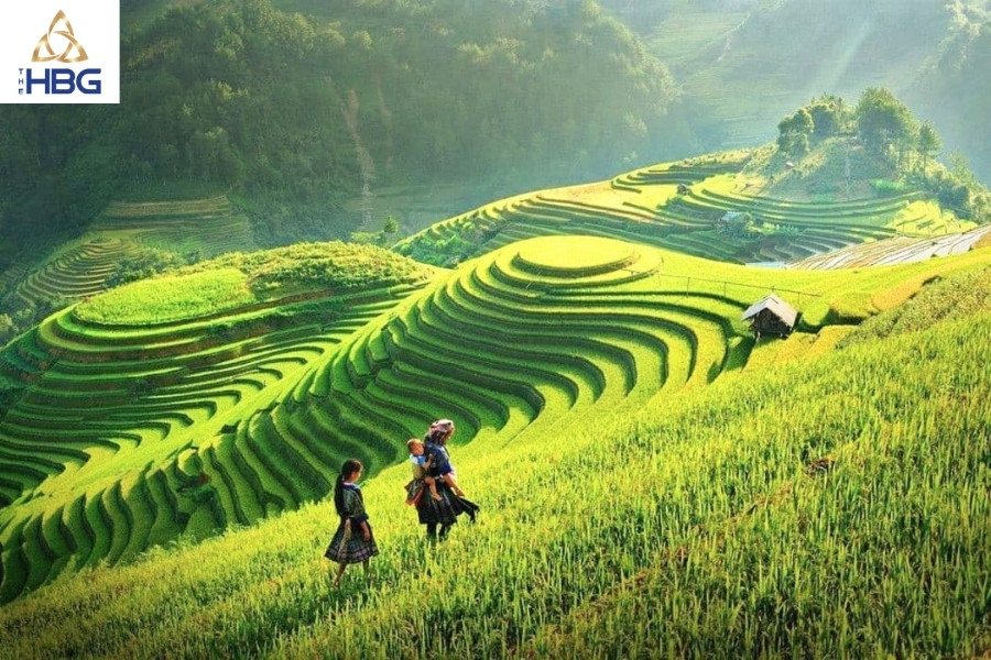 Ruộng bậc thang sapa