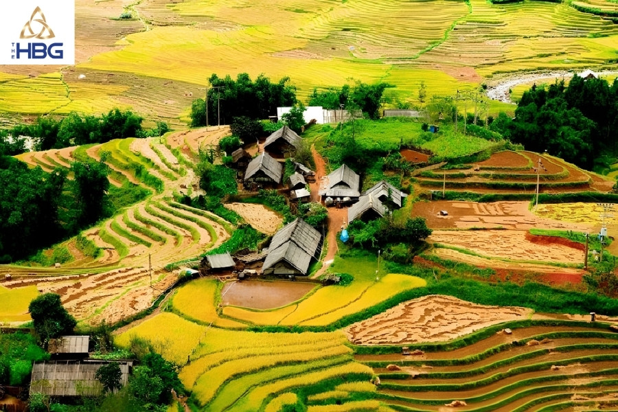 Ruộng bậc thang sapa