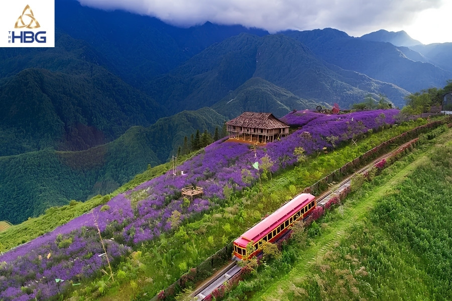 Ruộng bậc thang sapa - Thung lũng Mường Hoa