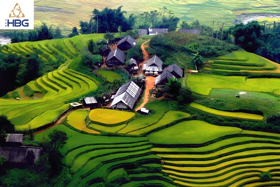 Ruộng bậc thang sapa - Bản Lao Chải – Tả Van