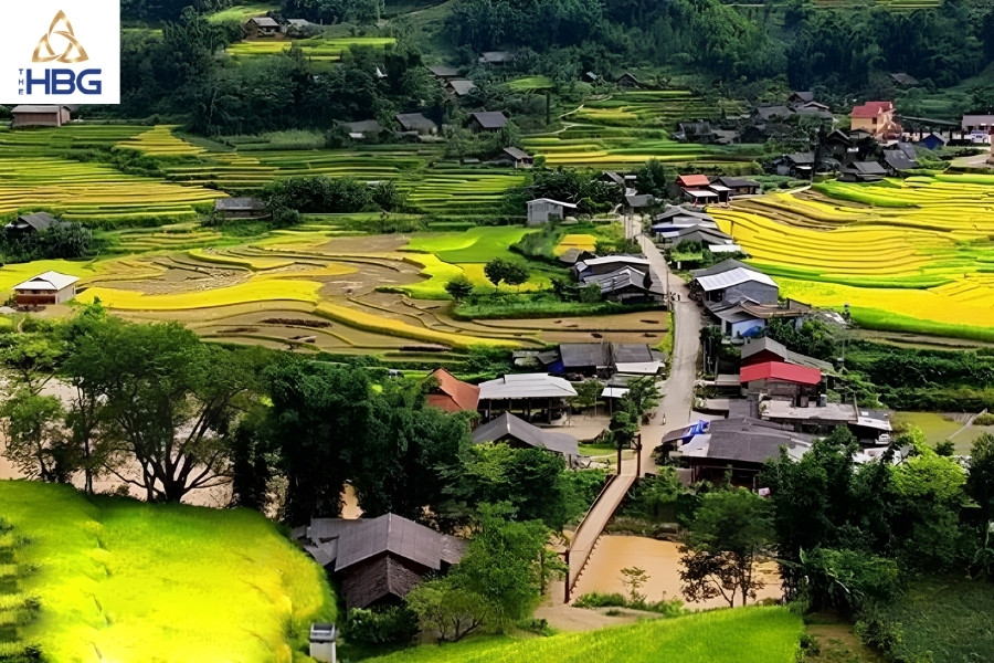 Ruộng bậc thang sapa - Bản Tả Phìn