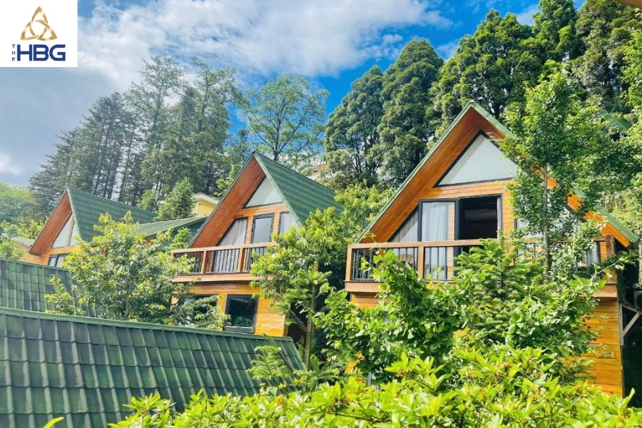 Săn mây Sapa - Sapa Pine Hill Ecolodge
