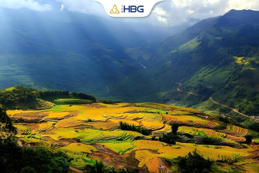 Ngắm ruộng bậc thang và thung lũng Mường Hoa