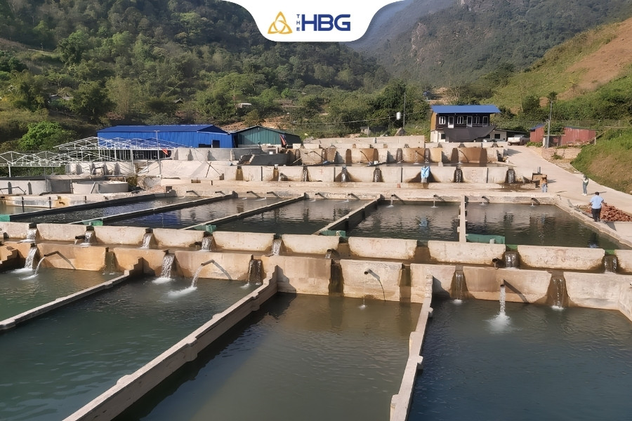 Khám phá vẻ đẹp và những trải nghiệm tại thác Bạc Sapa