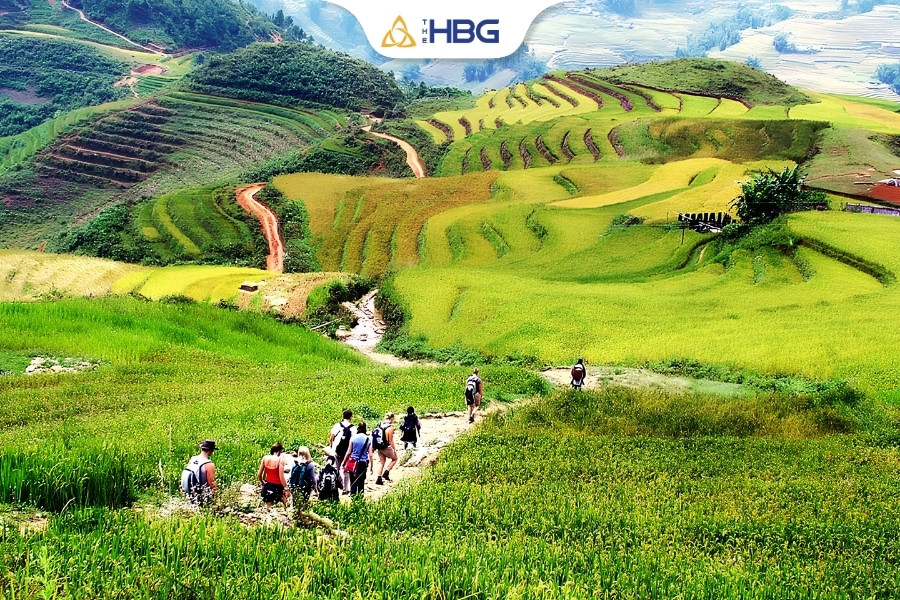 Thung lũng mường hoa
