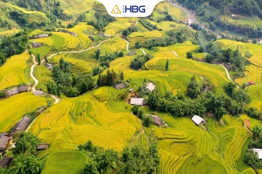 Thung lũng Mường Hoa có gì đẹp và đáng trải nghiệm